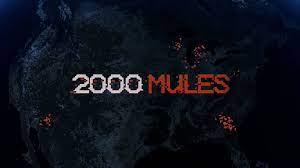 2000 Mules (Video 2022) - IMDb