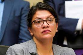 Noa Tishby slams Rashida Tlaib for 'from the river to the sea' claim - The Jerusalem Post